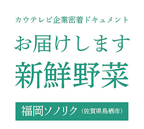 社員の働く現場に密着