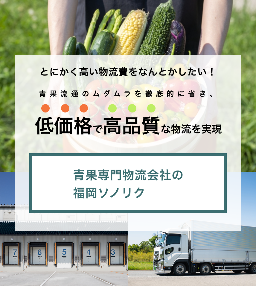 とにかく高い物流費をなんとかしたい！青果流通のムダムラを徹底的に省き、低価格で高品質な物流を実現　青果専門物流会社の福岡ソノリク